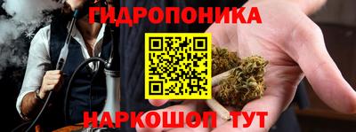 jwh Славгород