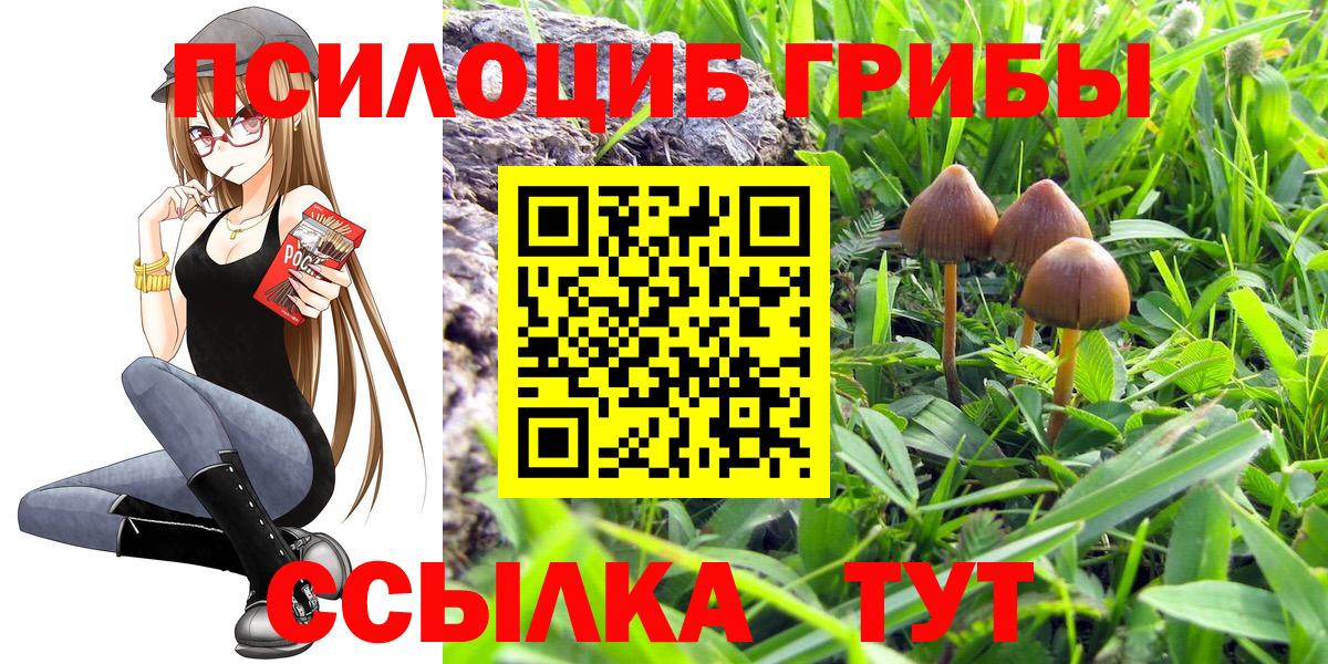 Псилоцибиновые грибы мухоморы Ногинск