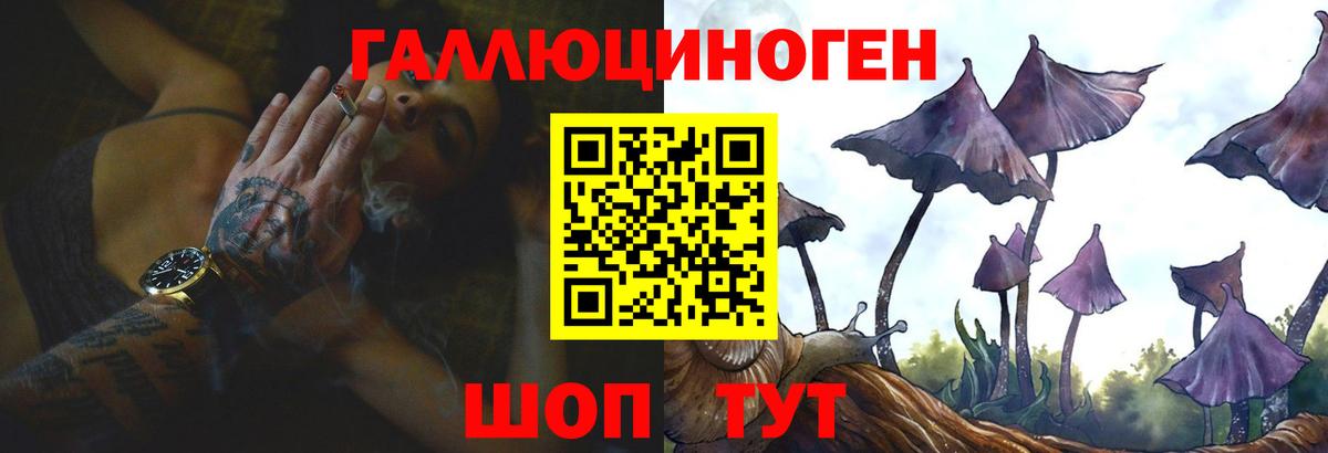Галлюциногенные грибы Cubensis  Вход с VPN  что такое наркотик  Ногинск 